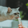 Best Kitten Training Treats
