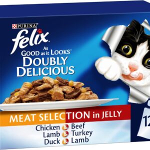 wet cat food