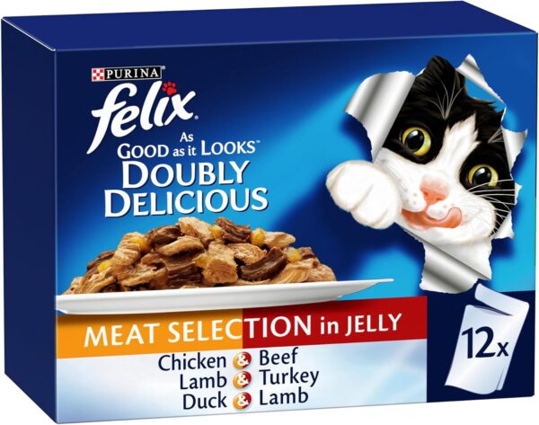 wet cat food