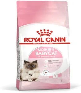 Royal Canin Kitten Food